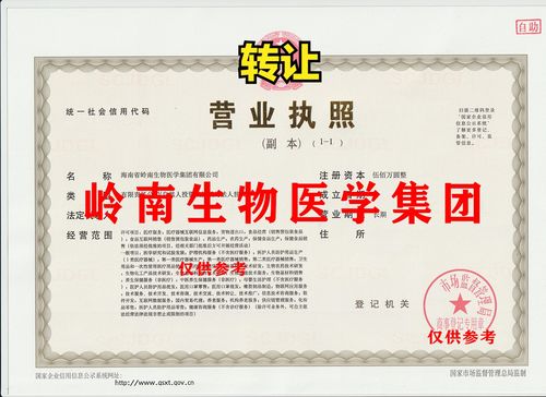 嶺南速度 從工商特批到醫(yī)療用品專營的躍遷之路